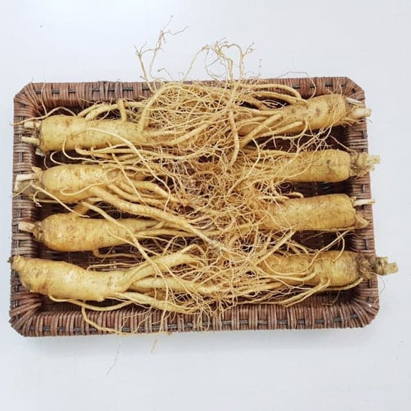 Sâm, Nấm, Đồ Hàn