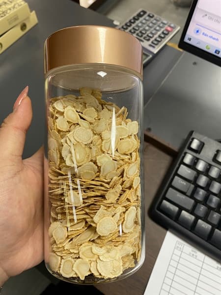Sâm tây dương 150g