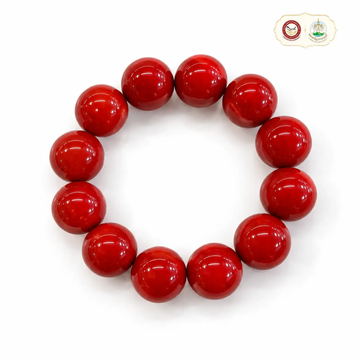 TL- Vòng San Hô Đỏ 20 Li