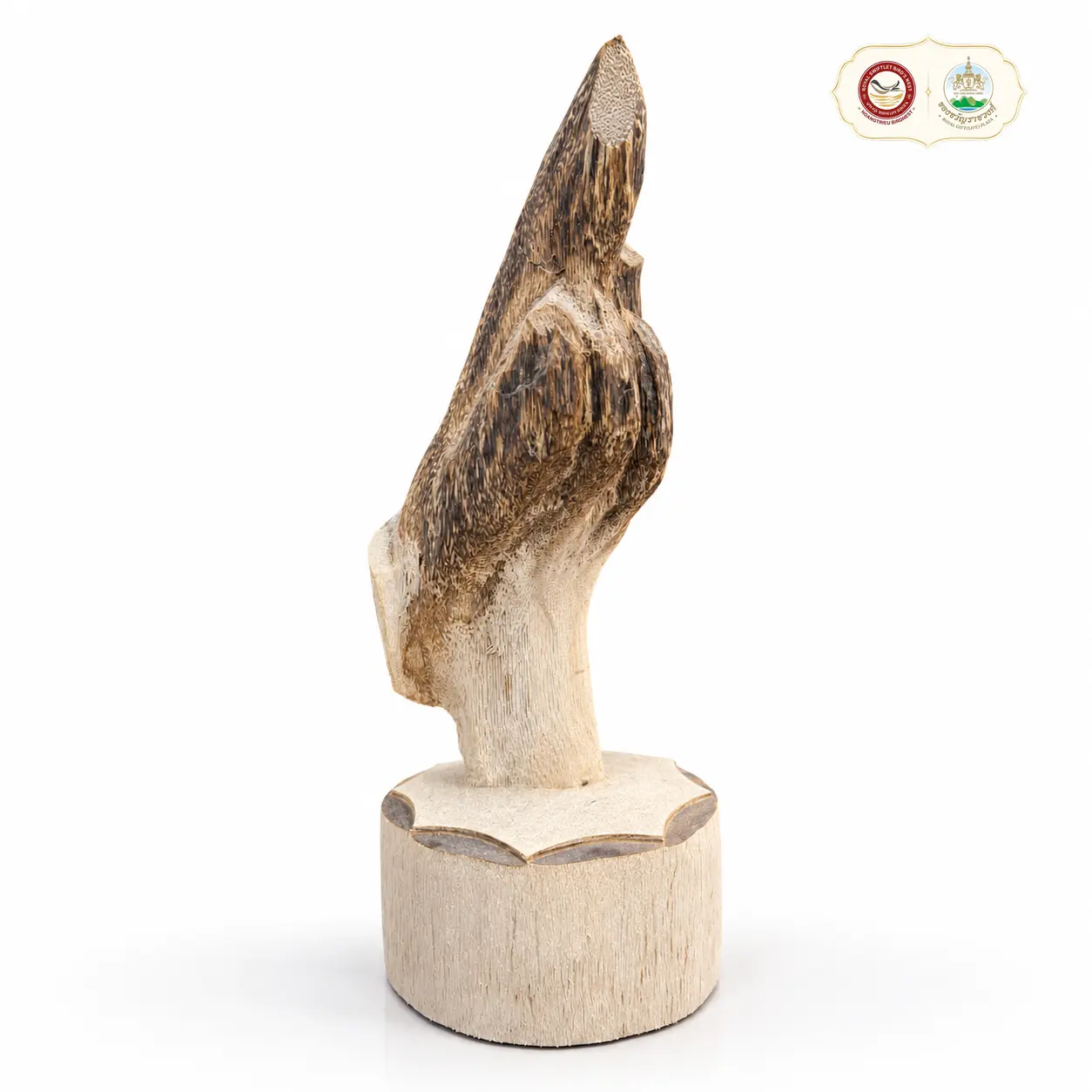 Tiểu Cảnh Trầm - Mẫu Độc Bản
