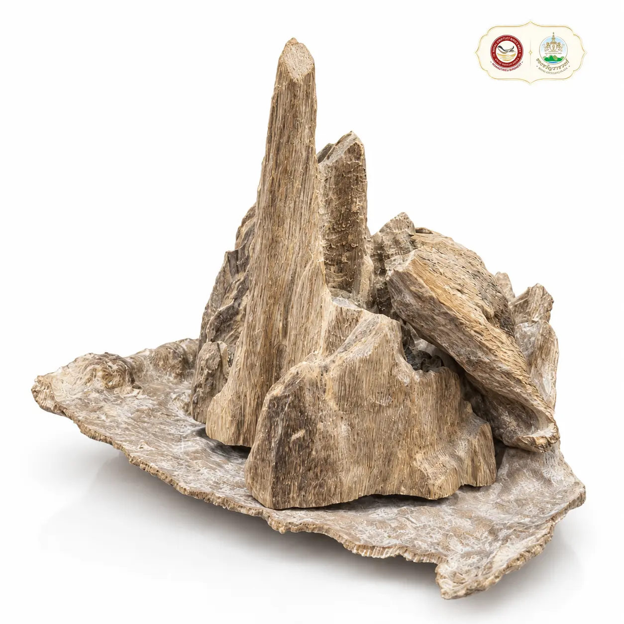 Tiểu Cảnh Trầm - Núi Non Bộ